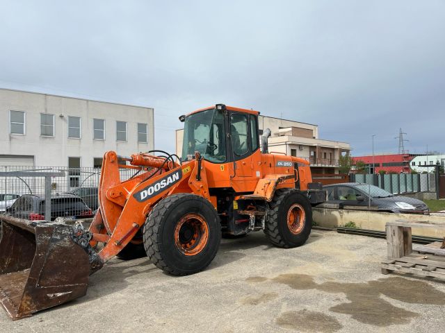 Foto DOOSAN DL 250 usato